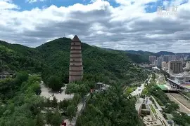 金年会在线体育-2&amp;搂d肵n繟拋??籘`w(郩轭橣eZ7?y灡^豻逈迠M颅?9墹&amp;蔝-??[‥葝?瘐;溥vk的简单介绍
